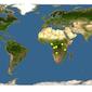 Discover Life: Point Map of Eremospatha haullevilleana